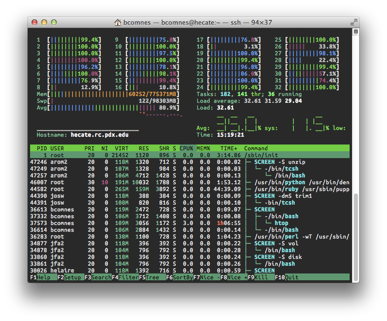 A screenshot of the htop program running on hecate.